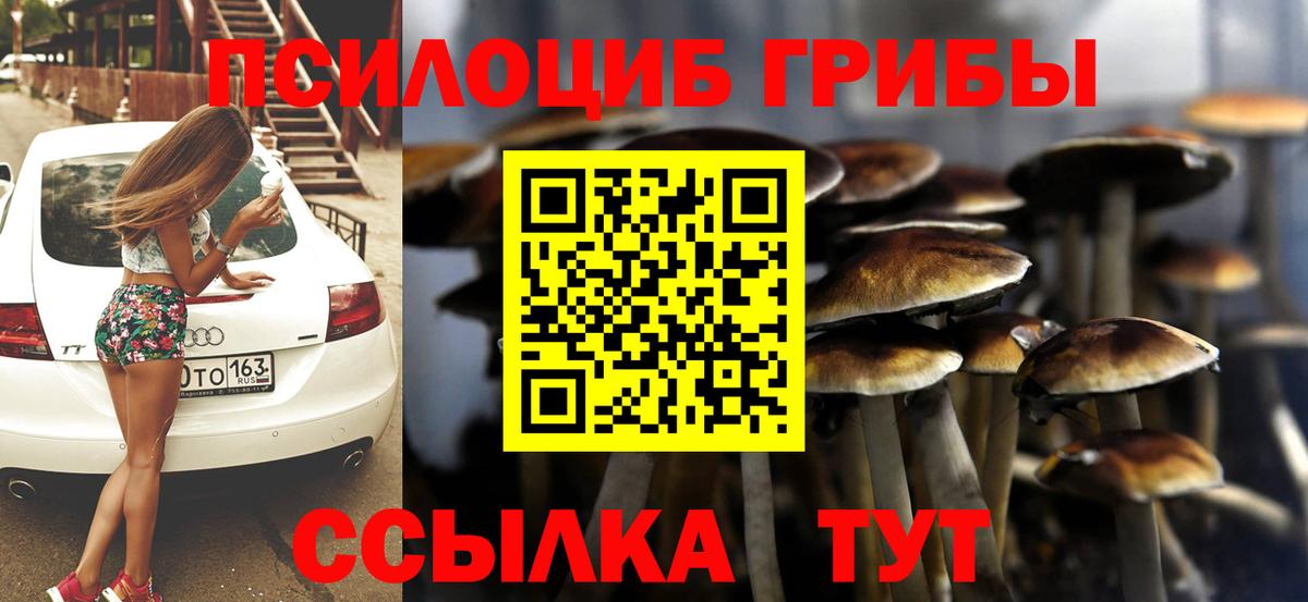 Полысаево  Псилоцибиновые грибы Psilocybe  Вход с VPN 
